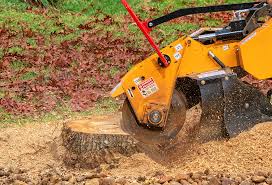 Best Lawn Drainage Solutions  in Hardinsburg, KY