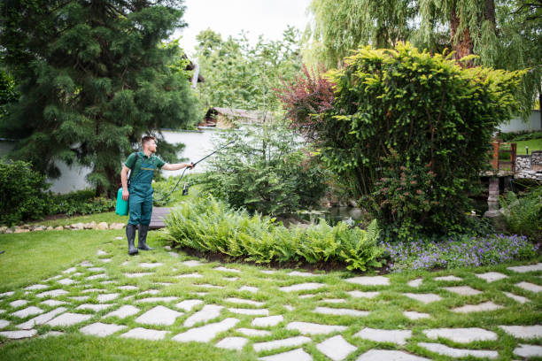 Best Pest Control for Lawns  in Hardinsburg, KY